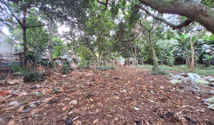 Tanah Super Luas Harga Termurah Cocok Untuk Townhouse & Bisnis Lainnya Tanah Super Luas Harga Termurah Cocok Untuk Townhouse & Bisnis Lainnya