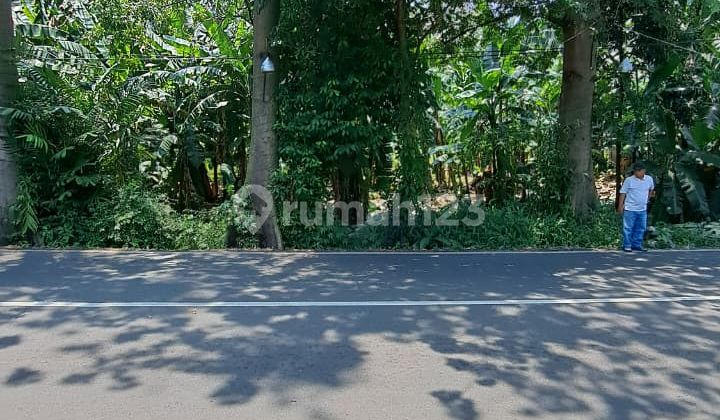 Tanah Siap Bangun di Cirendeu Cocok Untuk Townhouse atau Usaha Tanah Siap Bangun di Cirendeu Cocok Untuk Townhouse atau Usaha