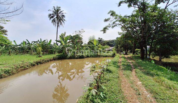 Investasi Emas di Ciseeng: Tanah Strategis 8,486 meter Dekat Tol Serpong 2