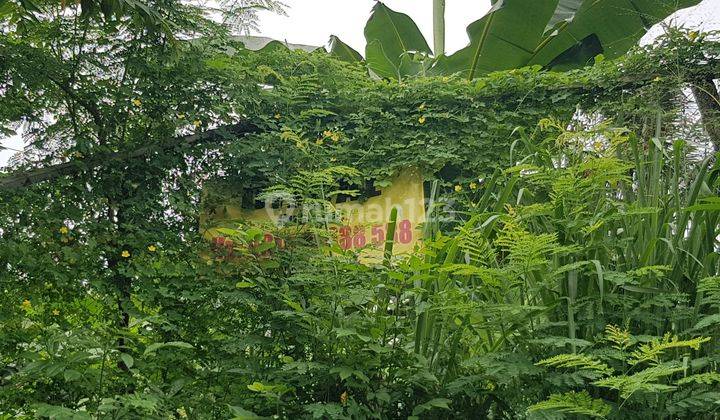 Tanah bentuk kotak, luas 15x30m, posisi tinggi, aman Tanah di Blok A Cinere 450 m² SHM 2