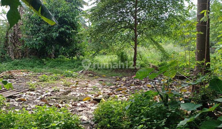 Tanah Luas Lokasi Oke, Cocok Dibangun Cluster Di Pamulang 2