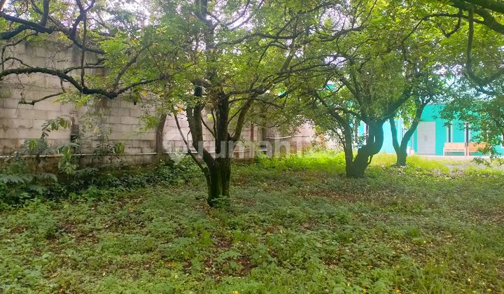 Tanah Cocok Buat Gudang/claster