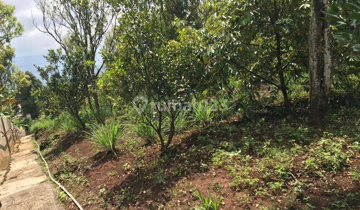 Tanah Super Luas Yang Ideal Untuk Usaha Anda di Villa Kebun Teh, Kota Mandiri sumedang 7