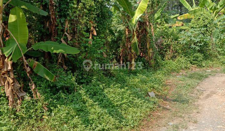 Tanah Super Luas di Purwakarta Dekat Ke Tol 2