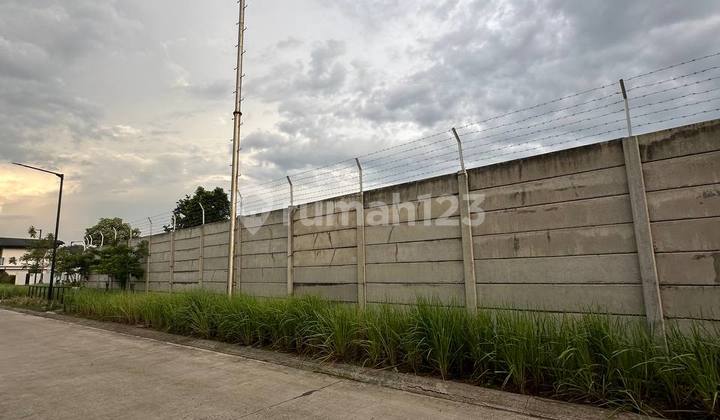 JUAL RUGI HARUS LAKU MINGGU INI 2