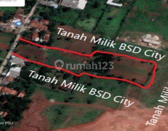 Dijual Tanah 1.1ha sebelah BSD city Kadusirung Pagedangan Tangerang 1