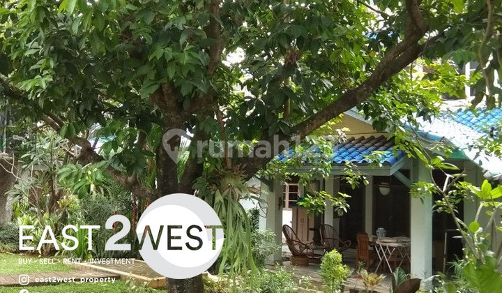 Jual Rumah Jalan M Saidi Raya Petukangan Jakarta Selatan Luas Bagus Jual Rumah Jalan M Saidi Raya Petukangan Jakarta Selatan Luas Bagus