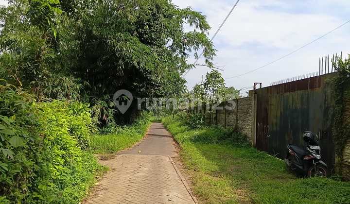 Kavling Cisauk Tangerang Murah Strategis Selangkah ke Bsd City Kavling Cisauk Tangerang Murah Strategis Selangkah ke Bsd City