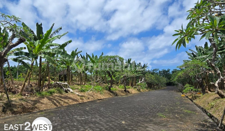 Jual Kavling Dreamland Siyut Gianyar Bali Lokasi Bagus Strategis