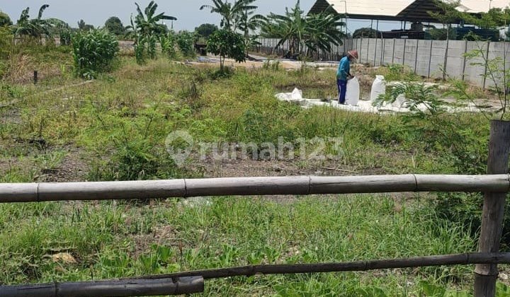 Tanah Raya Cerme Zona Industri Gresik