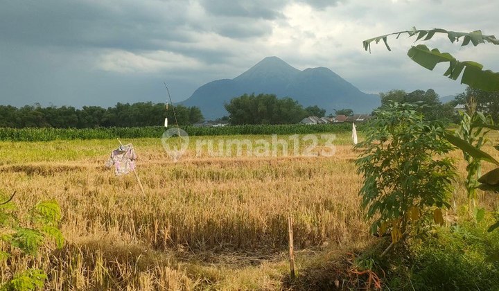 Lahan Industri Ngoro Mojokerto Strategis