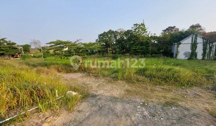 2 Adjacent Land Plots in Pelemwatu, Menganti