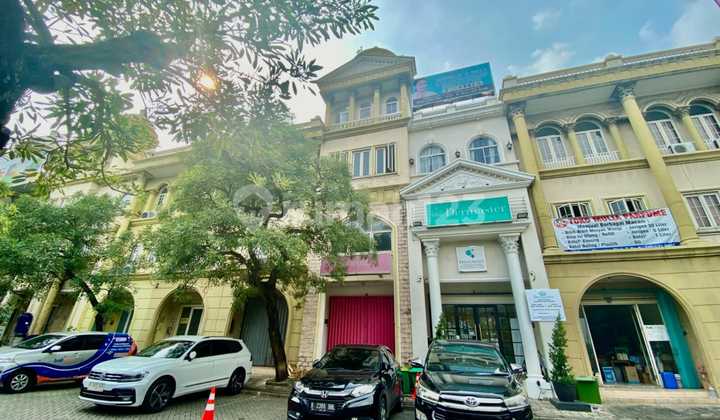 RUDY CEN Rented a 4-story Green Mansion shop house 1