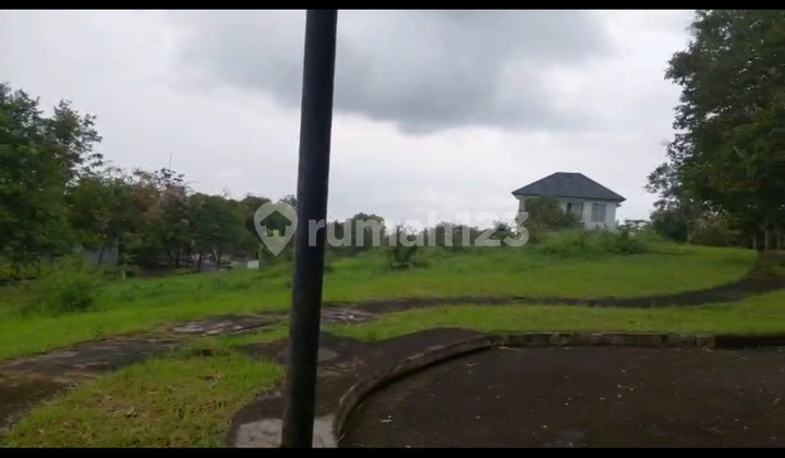 ******** Most ******** Most