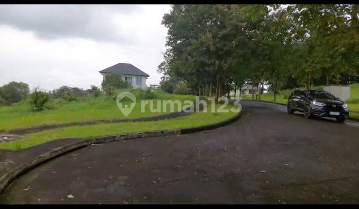 ******** Most ******** Most