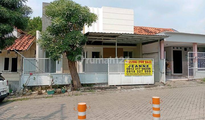 Bukit Palma Citraland Utara Sby Rumah Siap Huni Belakang Sekolah Citra Berkat 1