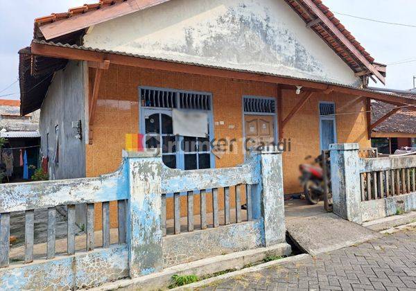  Rumah di Cempolorejo Semarang Barat 1