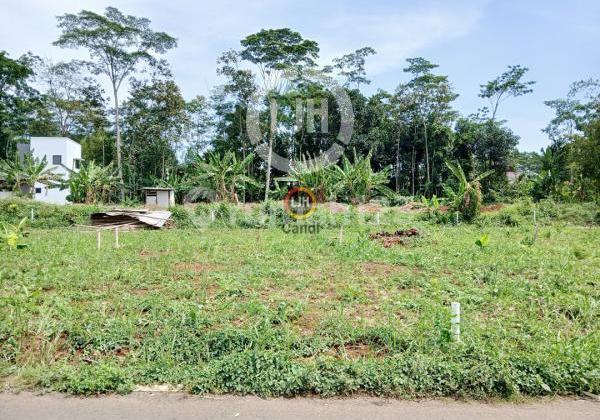 Plot in KP REJOSARI ~ WONOLOPO MIJEN Semarang 2