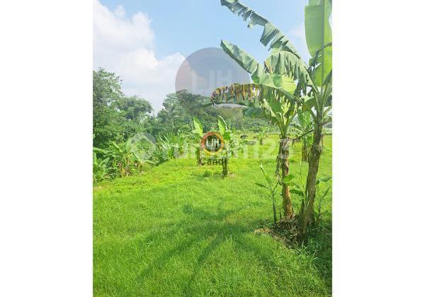 Plot in Cangkiran, Mijen, Semarang. 2