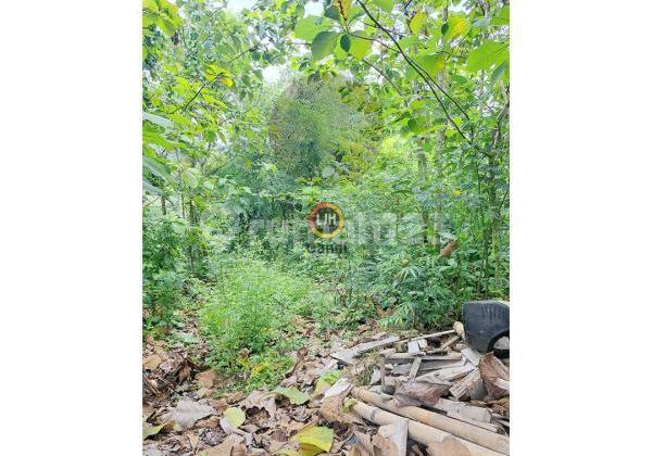 Plot in Pawiyatan Luhur South Semarang 1