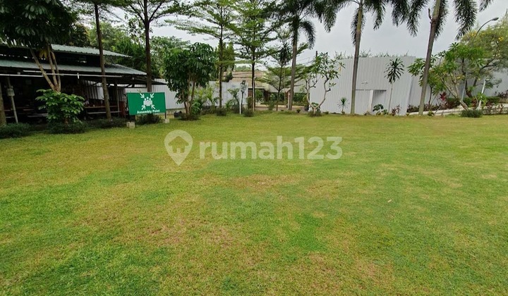 Tanah Stategis Bonus Bangunan Rumah Mewah Dan Besar Tanah Stategis Bonus Bangunan Rumah Mewah Dan Besar