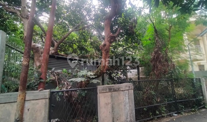 Rumah Hancur Hitung Tanah Saja Di Lokasi Stategis Rumah Hancur Hitung Tanah Saja Di Lokasi Stategis