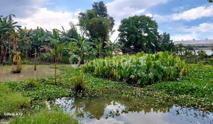 Tanah Di Kawasan Pergudangan Kavling Dpr Pinang Cipondoh