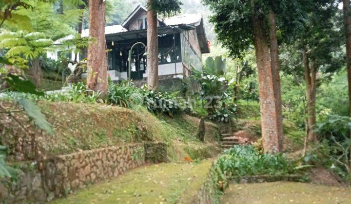 Villa Asri Sejuk Dan Nyaman Harga Ekonomis Di Puncak 2