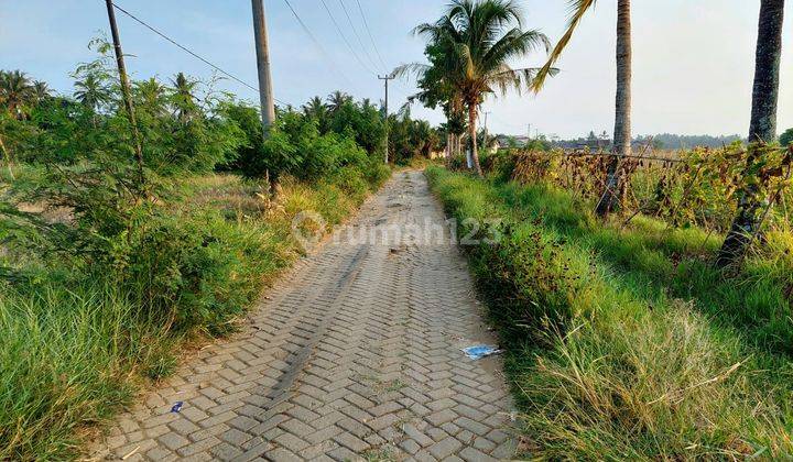 Tanah Darat Dan Sawah Kering Di Panimbang Blok Huni 1