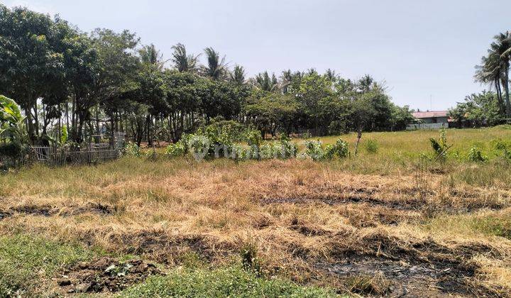 Tanah Sawah Kering Di Lokasi Startegis Jl. Kali Baru 2