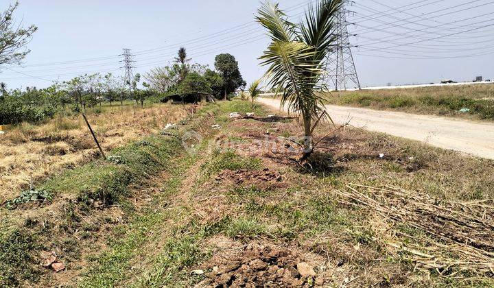 Tanah Sawah Kering Di Lokasi Startegis Jl. Kali Baru 1