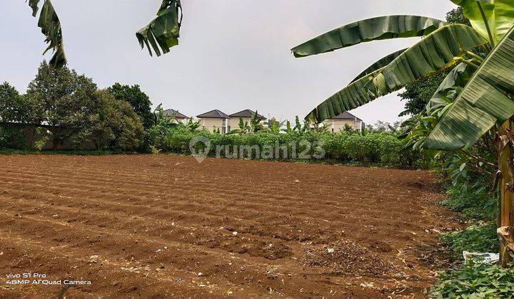 Dijual tanah di jln mawar / mandor tadjir kelurahan curug depok 1