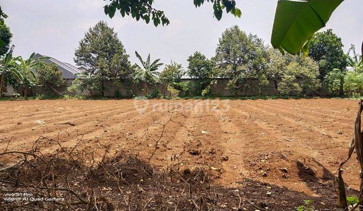 Dijual tanah di jln mawar / mandor tadjir kelurahan curug depok 2