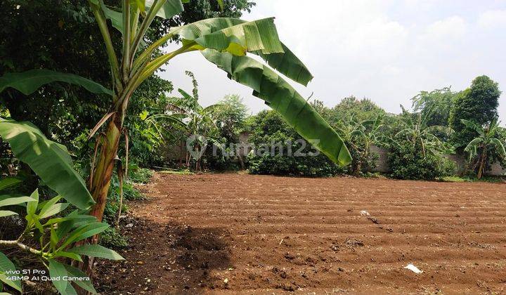 Dijual tanah di jln mawar / mandor tadjir kelurahan curug depok 4