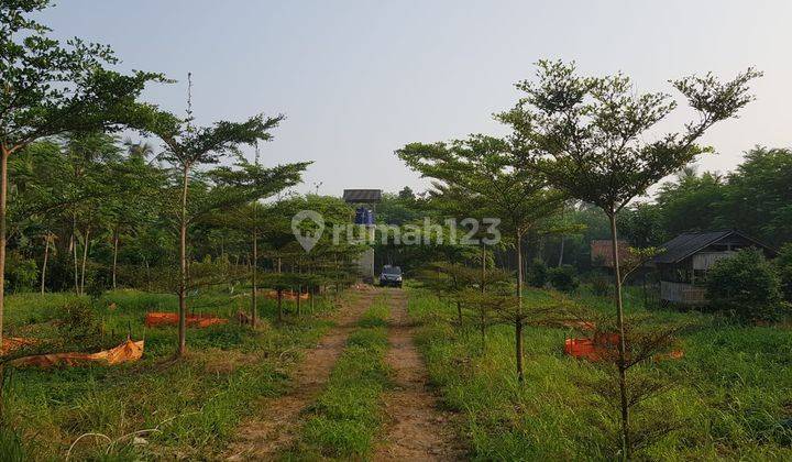 Di jual tanah di Gunung Sindur-Parung Kab. Bogor 1