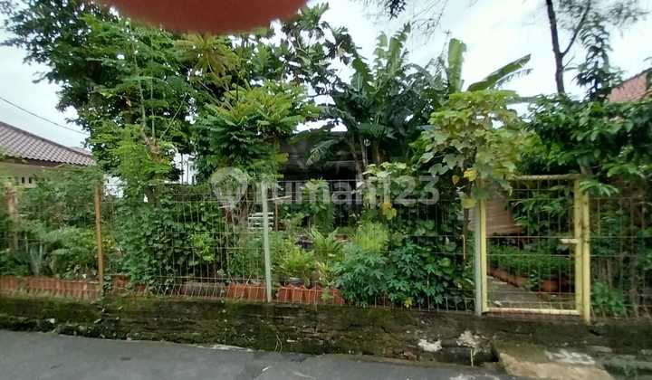Cendrawasih Plot Pesanggrahan South Jakarta Cendrawasih Plot Pesanggrahan South Jakarta