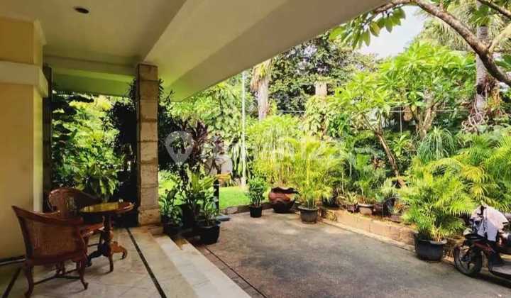 Rumah Mewah Asri Ada Poolnya di Kemang Jakarta Selatan 2
