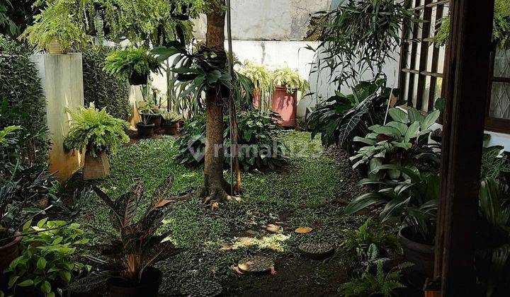 Rumah lama dalam komplek siap huni 2