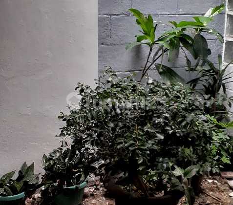 Rumah Lama Berada di Komplek dengan Lokasi Strategis