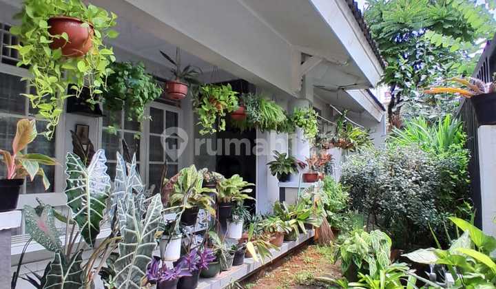 Rumah Bagus Dua Lantai Siap Huni Dan Bebas Banjir Di Bintaro 2