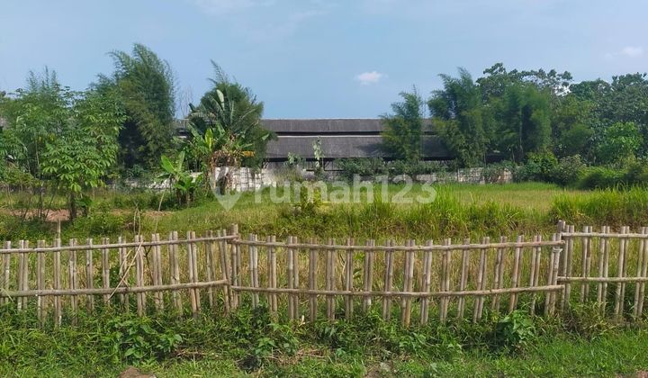 Dijual Kavling di Sukamanah Jambe Strategis Tanah di Desa Sukamanah, jambe Tangerang Banten 1100 2