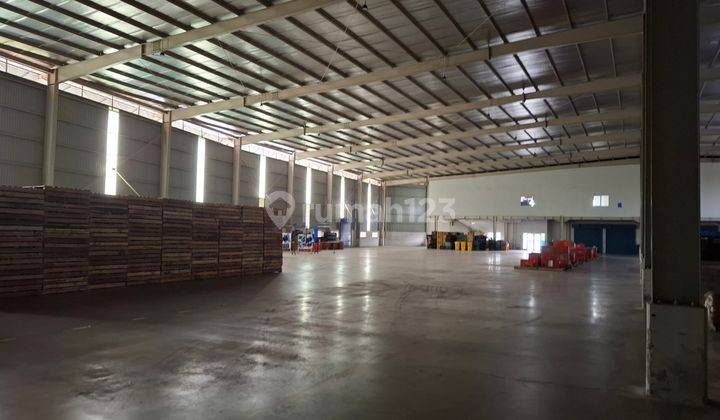 Gudang Premium, Tinggi 9 Dan 10.5, Cikarang 2