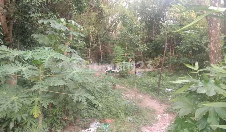 2.5 M Per M SHM Land Ready Jalan Kaliurang Km. 7