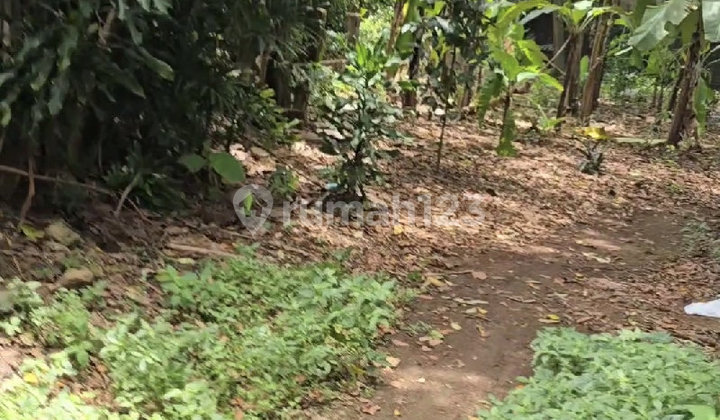 Siapa Cepat Dapat - Turun Harga Drastis Jadi Rp 3 Jt/M2