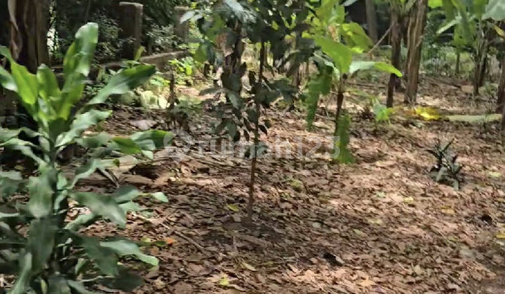 Siapa Cepat Dapat - Turun Harga Drastis Jadi Rp 3 Jt/M2