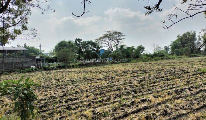 Tanah Industri Murah Di Jombang 2