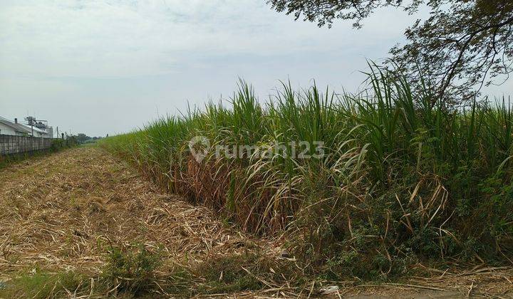 Tanah Industri Murah di Jombang 1