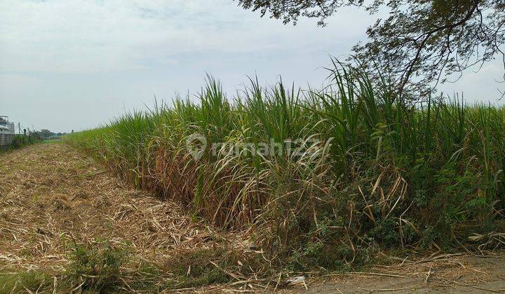 Tanah Industri Murah di Jombang 2