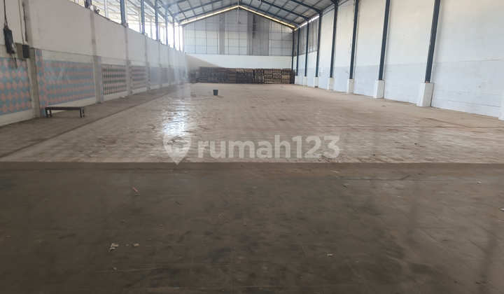 For Rent: Super Cheap Warehouse in Tuban, East Java