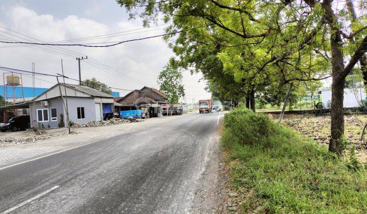 Tanah Industri Murah Di Jombang 2